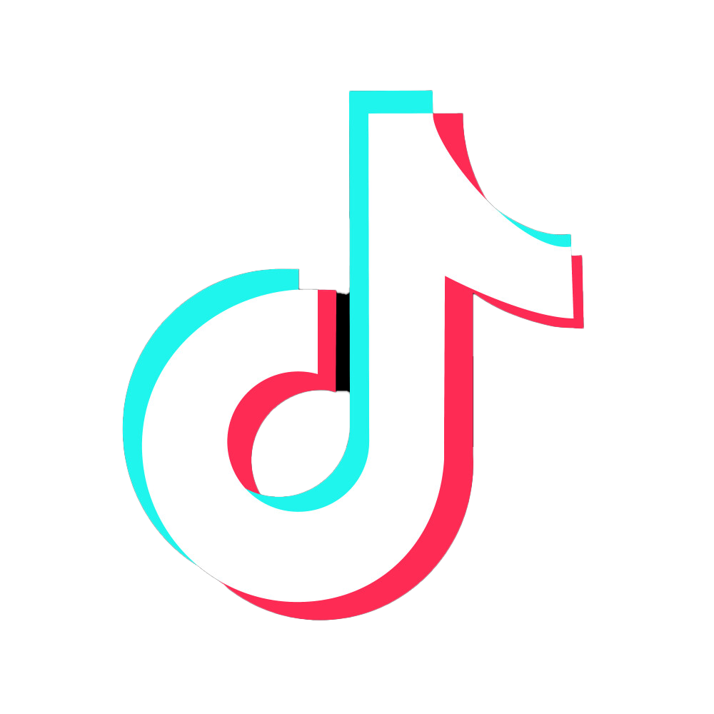 TikTok Logo